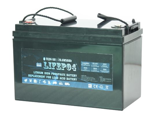 Lithium portatif Ion Battery de la batterie Lifepo4 de 24v 30ah Lifepo4