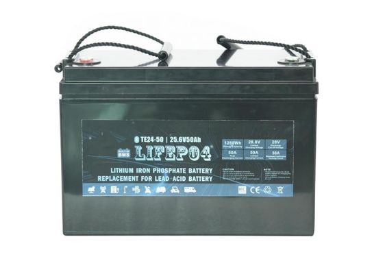 Batterie Lifepo4 portative de BMS 24V 12AH pour la puissance de secours