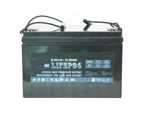 lithium portatif BMS For Replacement Of de la batterie Lifepo4 de 24V 42AH d'acide de plomb