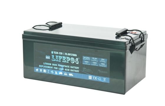 ABS portatif Li Fe Phosphate Battery de la batterie Lifepo4 de 24V 120AH